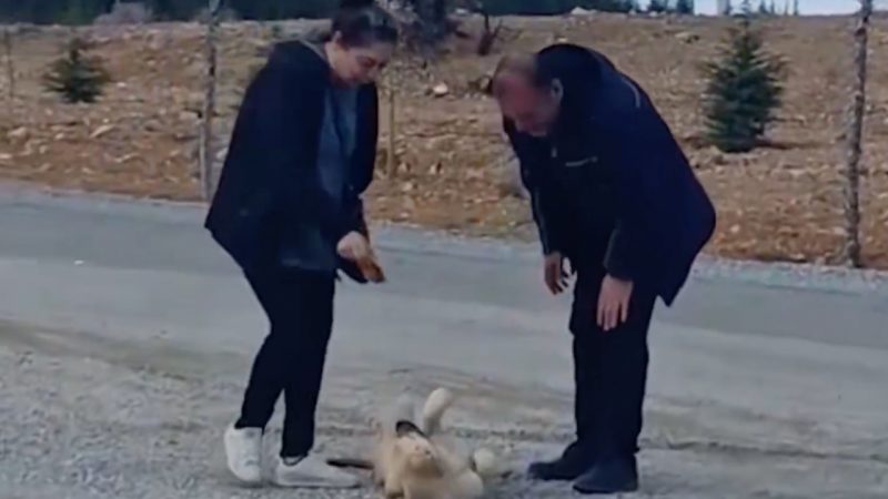 Malatya’da anlamlı olay