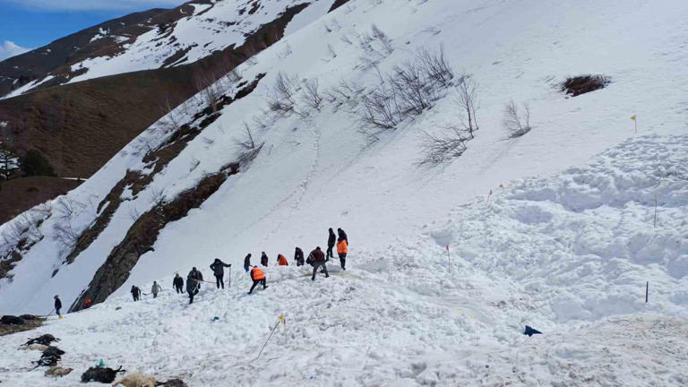 Artvin’de korkunç olay