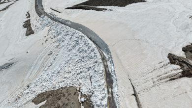 AW703884 02