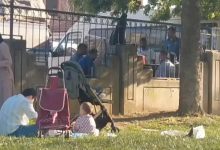 Pendik’te park ve bahçelerde uygulanan mangal yasağı, bu kez kaldırımda yakılan ateşle gündeme geldi.