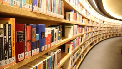 TÜİK’in 2025 yılı kütüphane istatistiklerine göre Türkiye’de kütüphanelerdeki toplam kitap sayısı 117 milyon 981 bin 58’e yükseldi.