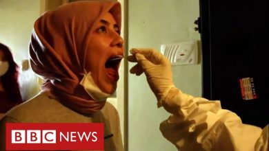 bbc turkiye koronavirus