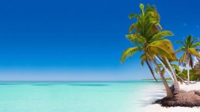 Dominik Cumhuriyeti Seyahat Faaliyetlerini Başlatıyor 13 Dominik Cumhuriyeti Seyahat Planını Duyurdu