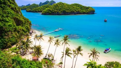 koh samui seyahat virus