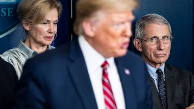 trump fauci