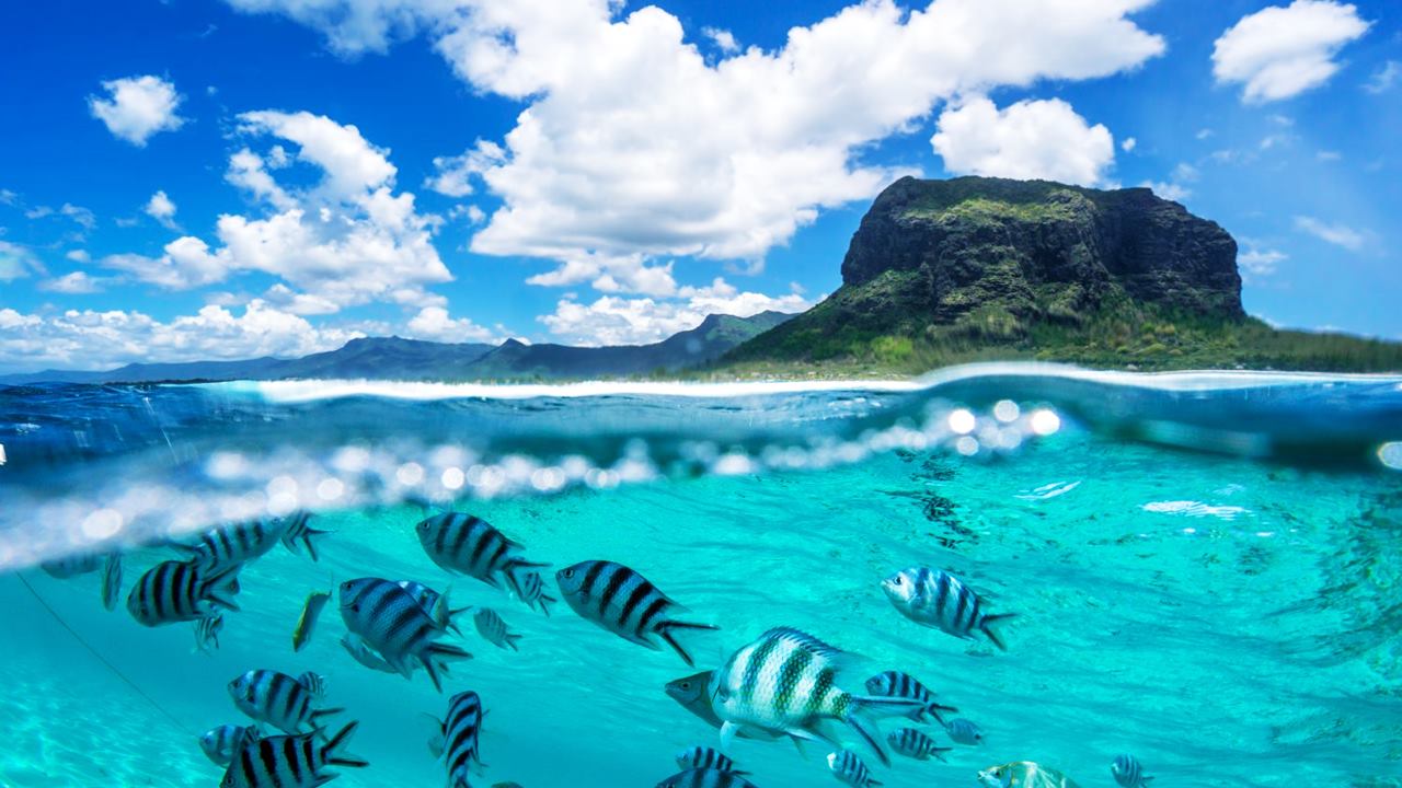 O Ülke Koronavirüs Salgınını Bitirdi, Turistleri Bekliyor 1 mauritius koronavirus