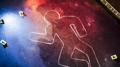 Polisiye tutkunlarının mutlaka okuması gereken kitaplar 9 1 26