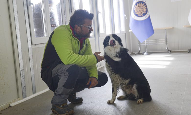 Ankara'da Kovid-19'u teşhis eden dedektör köpek yetiştirildi