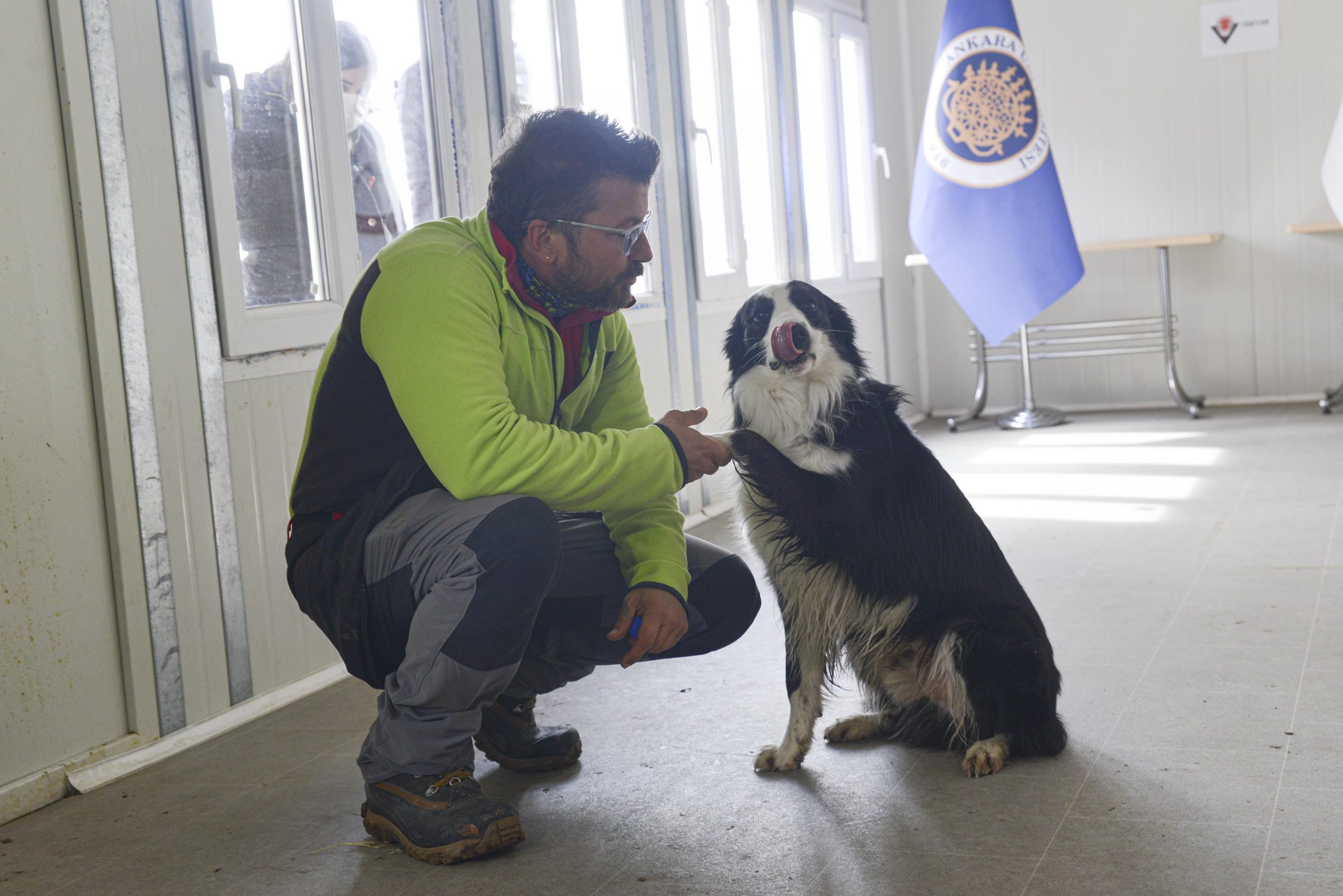 Ankara'da Kovid-19'u teşhis eden dedektör köpek yetiştirildi