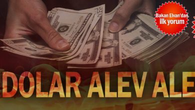 Dolar alev alev