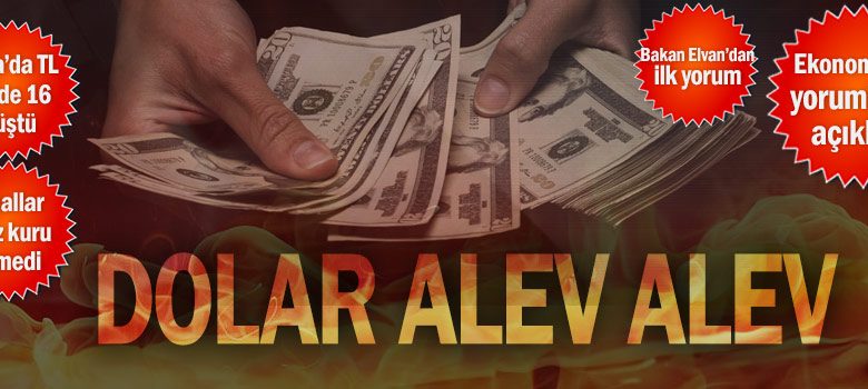 Dolar alev alev