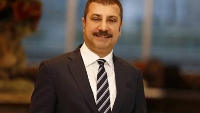 şahap kavcıoğlu merkez bankası