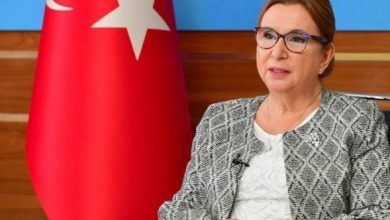 AKP'nin bakanlarına yargı yok! İşte Ruhsar Pekcan'ın bakan olmasaydı alacağı ceza 11 AKPnin bakanlarina yargi yok Iste Ruhsar Pekcanin bakan olmasaydi alacagi ceza