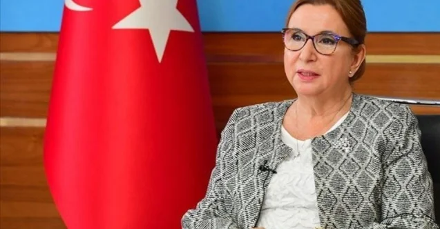 AKP'nin bakanlarına yargı yok! İşte Ruhsar Pekcan'ın bakan olmasaydı alacağı ceza 1 AKPnin bakanlarina yargi yok Iste Ruhsar Pekcanin bakan olmasaydi alacagi ceza