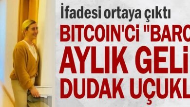 Bitcoinci Baron un aylik geliri dudak ucuklatti
