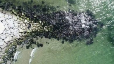 Istanbulda denizdeki cekilme endiselendirdi Uzman isim acikladi Deprem belirtisi mi