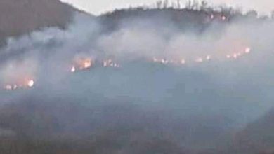 İzmir'de dağlık alanda çıkan yangın kontrol altına alındı: 500 kestane ve meşe ağacı yandı