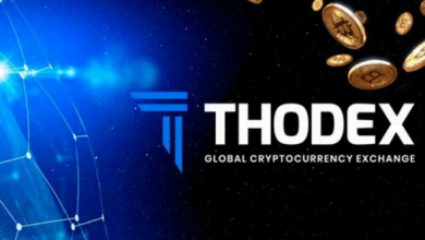 Kripto para borsası Thodex soruşturmasında gözaltı sayısı 65’e yükseldi 13 Kripto para borsasi Thodex sorusturmasinda gozalti sayisi 65e yukseldi