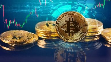 Kripto para dunyasinda soke eden gelisme Kripto Tosuncuk 2 milyar ile uctu