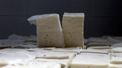 Venezuela'dan Türkiye'ye peynir ithal edildi mi?