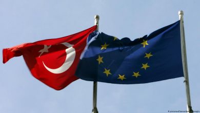 APden Sert Turkiye Raporuna 480 Oyla Kabul