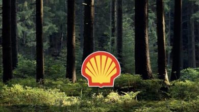 'Tarihi zafer': Hollanda mahkemesi, Shell'in 2030'da karbon emisyonunu yüzde 45 azaltması gerektiğine hükmetti