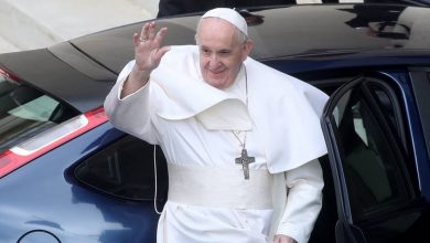 papa francis reform