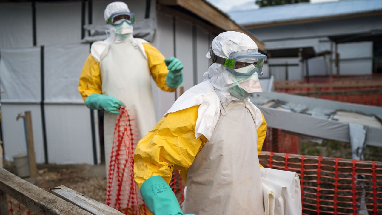 27 Yıl Sonra İlk Kez Ebola Vakası 1 ebola virusu