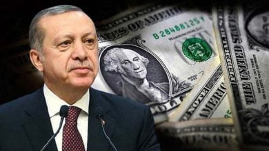 Dolar/TL: Ekonomistler Cumhurbaşkanı Erdoğan'ın 'yeni finansal alternatifini' nasıl yorumluyor?