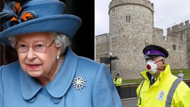 İngiltere’de Kraliçe Elizabeth’in bulunduğu Windsor Kalesi’nde silahlı bir şahıs yakalandı