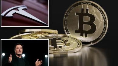 Tesla Bitcoin NationalTurk