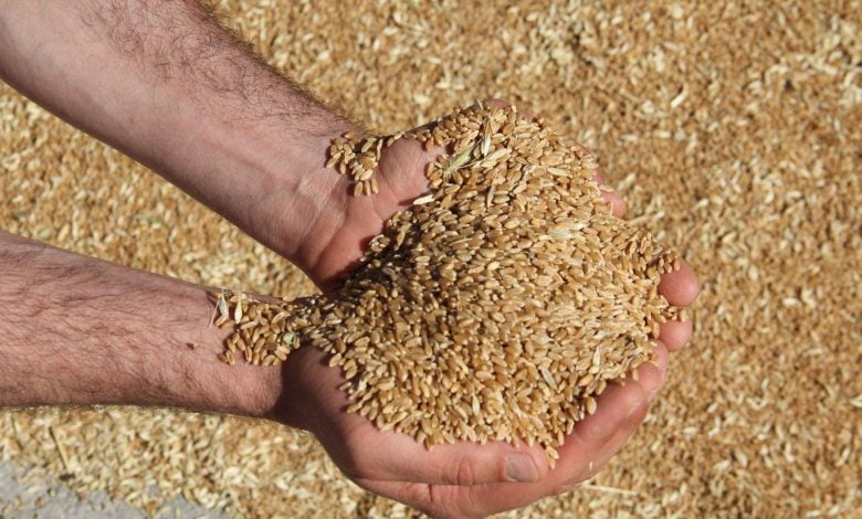 Türkiye en çok buğday ithal eden 3. ülke