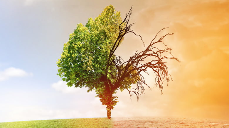 İklim Değişikliği NationalTurk