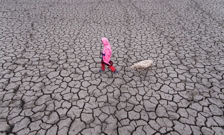 Avrupa: Son 500 yılın en büyük kuraklığı yaşanıyor 19 Kuraklık Kıtlık - NationalTurk Haber