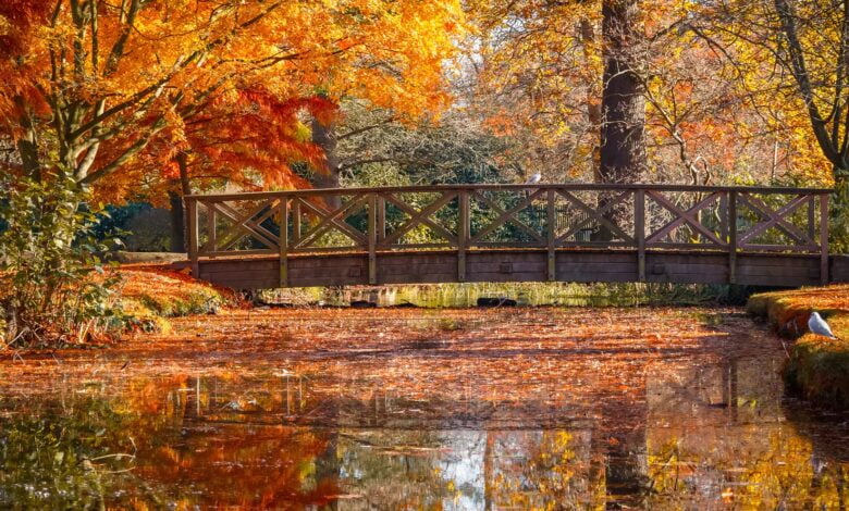 Sonbaharda Avrupa'nın En Güzel Şehirleri 9 Sonbaharda En Güzel Avrupa Şehirleri