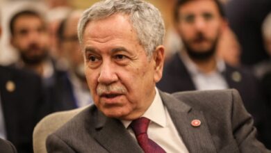Bülent Arınç: Seçim Ertelenmezse Kaos Olur 10 bulent arinc secim