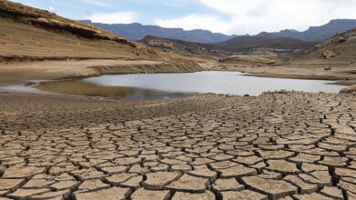 Dünya Nüfusunun Üçte İkisi Her Yıl Bir Ay Su Kıtlığı Yaşıyor