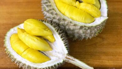 durian meyvesi tadi