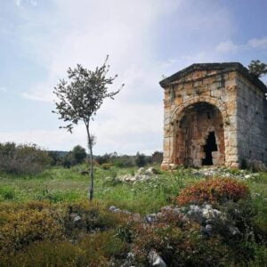 Anadolu'nun Kadın Hükümdarı Olba Kraliçesi ABA