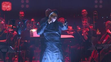 hayko cepkin konser