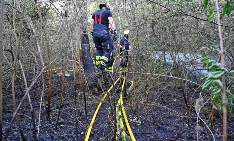Mangalcılar Almanya'da da Orman Yangını Çıkardı!