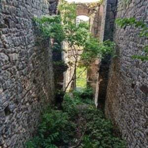 Kaderine terk edilmiş saklı tarih; Vazelon Manastırı! 11 f6875eb3 ea68 4ce3 b2d2 ebe68493aa21