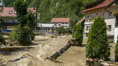 slovenya sel
