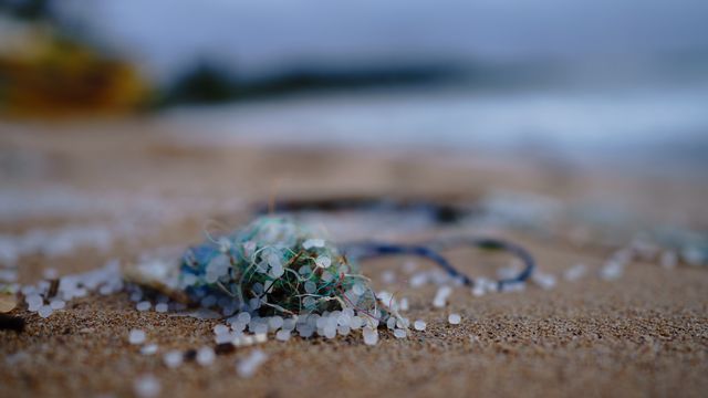 Mikroplastik içeren birçok ürün AB'de yasaklandı 1 Diş macunu, makyaj malzemeleri... AB, mikroplastik içeren birçok ürüne yasak getirdi. Peki, yasak ne zaman nasıl uygulanmaya başlayacak.