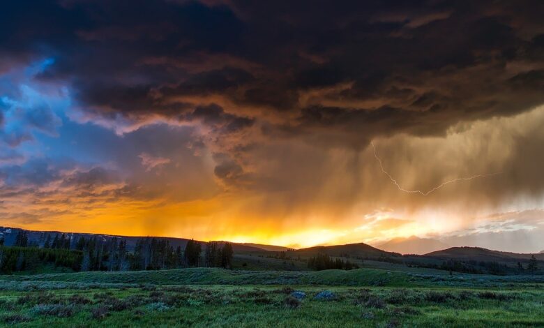 Dünya Meteoroloji Örgütü'nden korkutan açıklama 12 Dünya Meteoroloji Örgütü, iklim değişikliğine yol açan atmosferdeki sera gazlarının en yüksek seviyeye ulaştığını açıkladı.