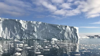 Bilim insanları yaptıkları araştırmayla gelecek adına korkutan bir sonuca ulaştı. Grönland'da buzullar 20 yıl önceye göre 5 kat daha hızlı eriyor.