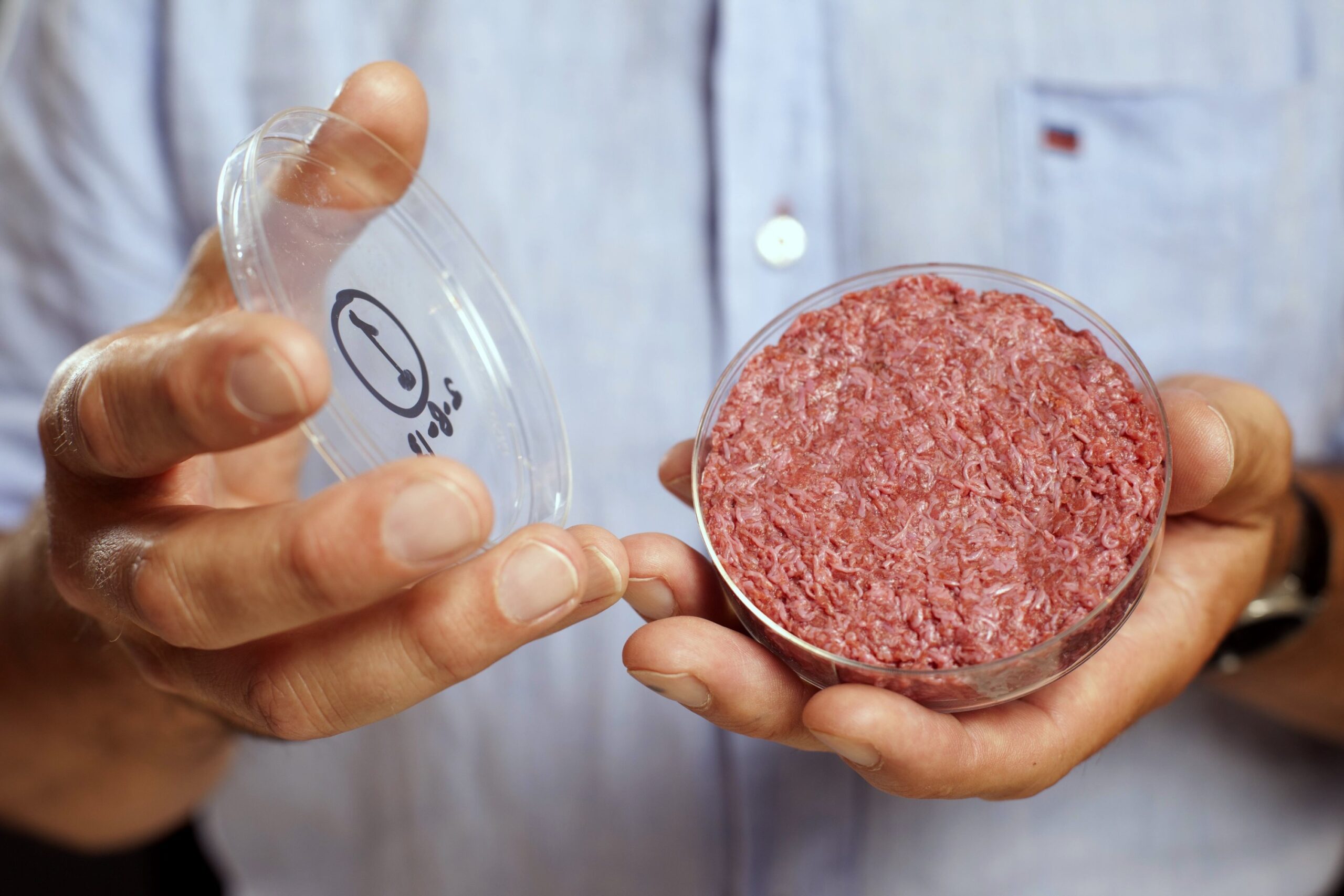 İtalya'da parlamentonun alt kanadı olan Temsilciler Meclisi, laboratuvarlarda üretilen yapay etlerle ilgili karar aldı.