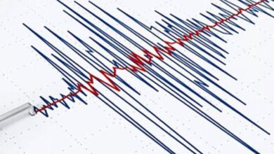 Son Dakika! Mudanya'da Deprem: Marmara Sallandı