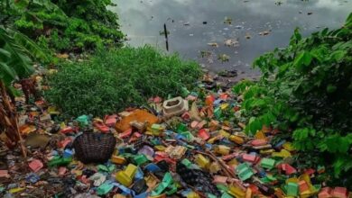 Nijerya’nın Lagos şehrinde plastik tabak çatak ve tabakların kullanımının yasaklandığı açıklandı.