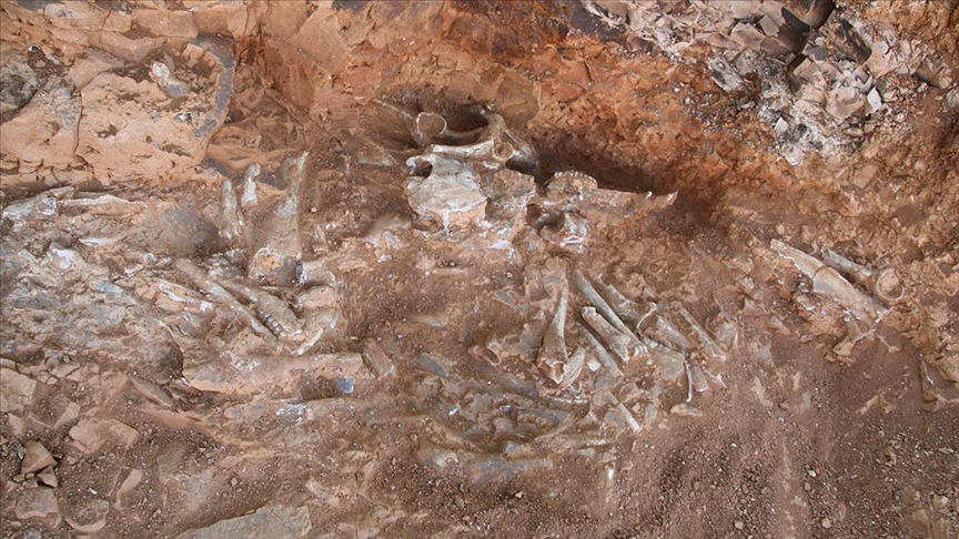 Bilim insanları 240 milyon yıl önceki Geç Triyas (Triassic) döneminden kalan ejderha fosili keşfetti.